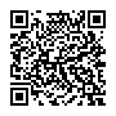 QR code for P08SYE