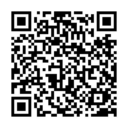 QR code for P10NKM
