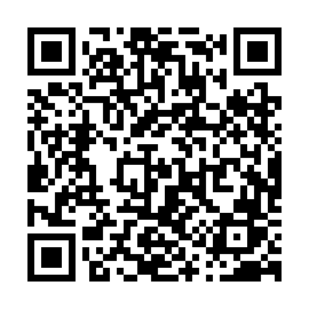 QR code for P10SFR