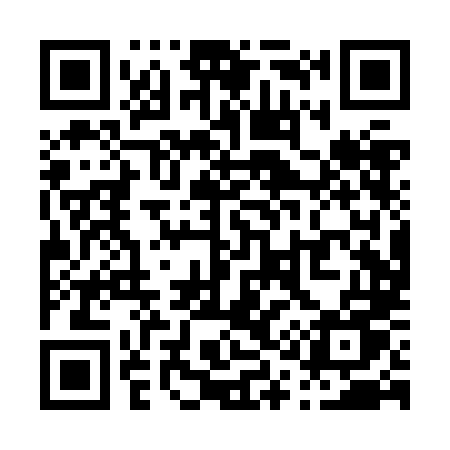 QR code for P10ZLU