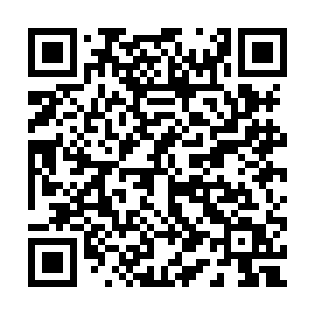 QR code for P11HAT