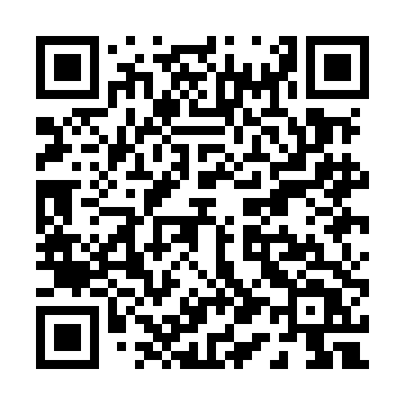 QR code for P11MDT