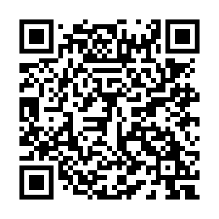 QR code for P11NBO