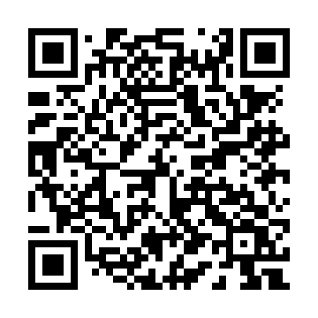 QR code for P11NFV