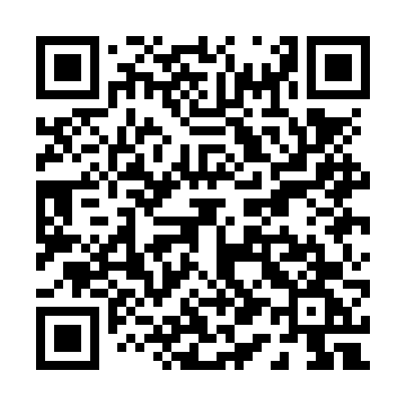 QR code for P11NVG