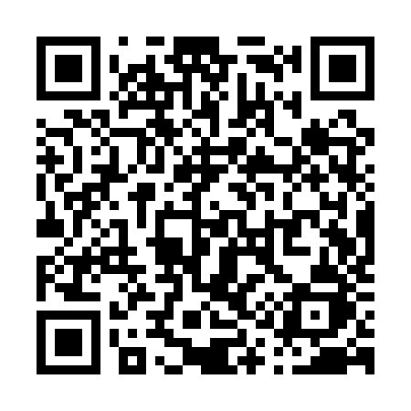 QR code for P11QZJ
