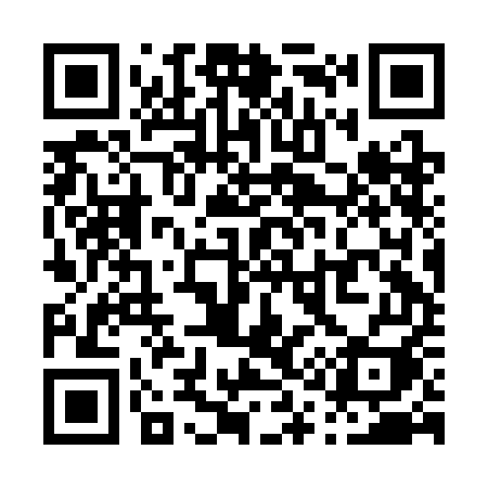 QR code for P12CEI