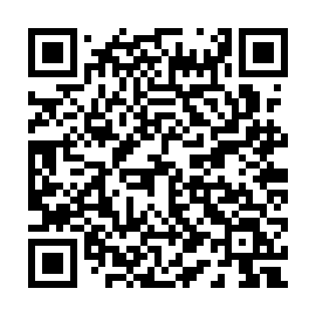 QR code for P12QFL