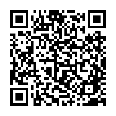 QR code for P12RTG