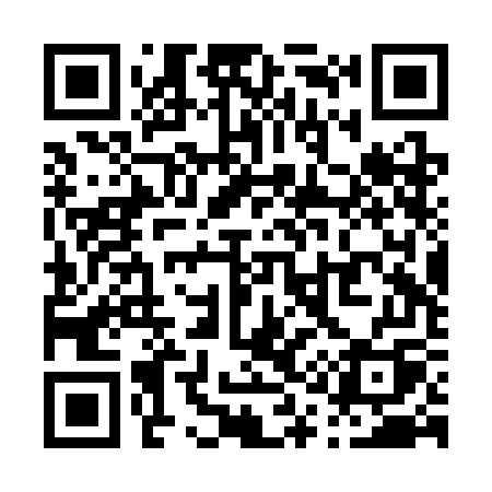 QR code for P12SGQ