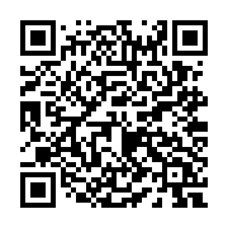 QR code for P12UDT