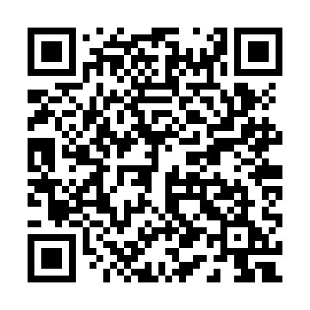 QR code for P12ZAE