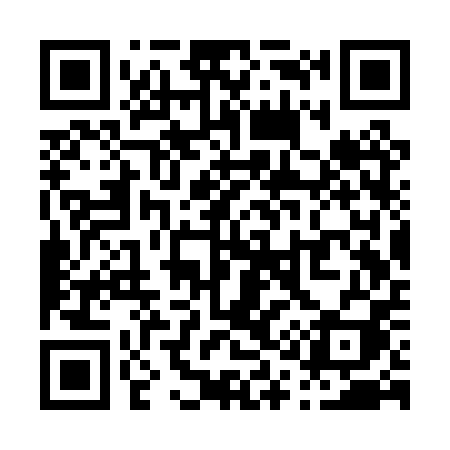 QR code for P13PPI