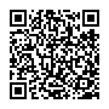 QR code for P13VLX
