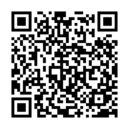 QR code for P13XDU