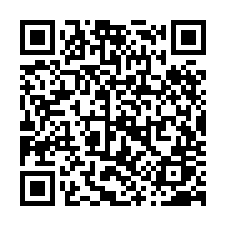 QR code for P13XOR