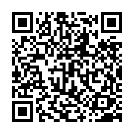 QR code for P13ZFX