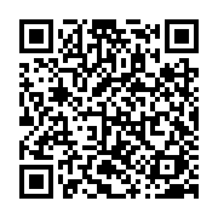 QR code for P16CZI