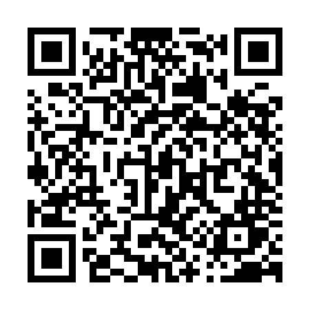 QR code for P16INT