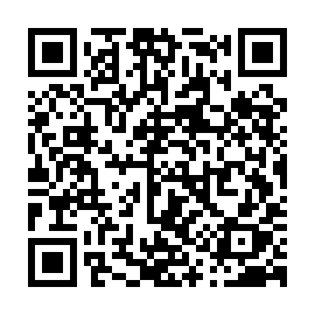 QR code for P17AIX