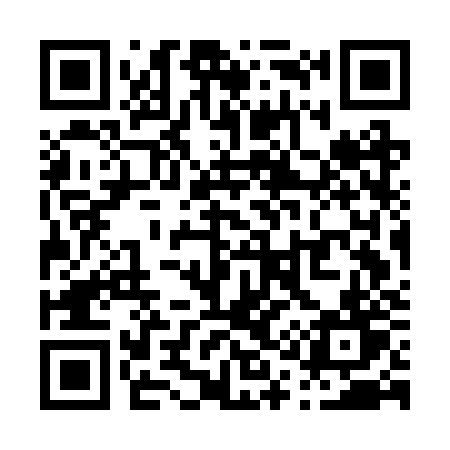 QR code for P17BZT