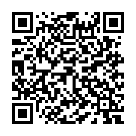 QR code for P17EFJ