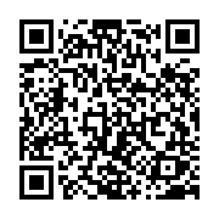 QR code for P17INX