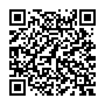 QR code for P17RFX