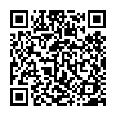 QR code for P17TJK