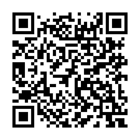 QR code for P19HIM