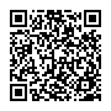 QR code for P19LED