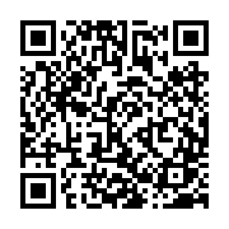 QR code for P20BTS