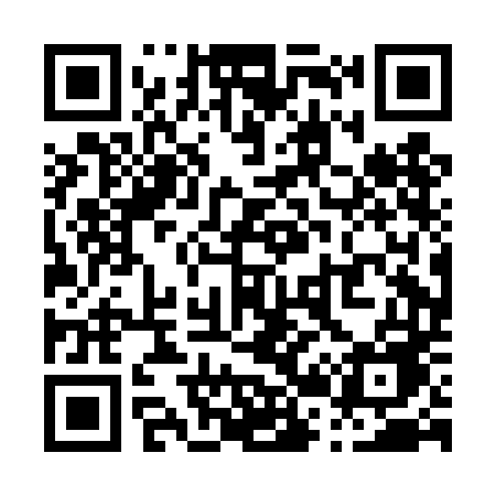 QR code for P20DDE