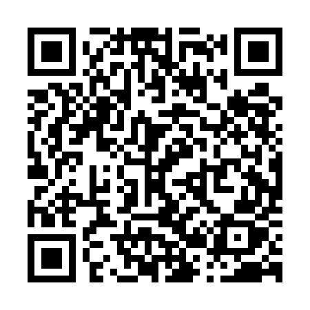 QR code for P20EEZ