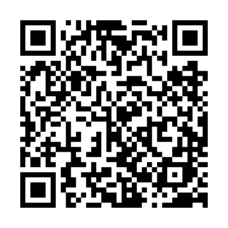 QR code for P20GNH