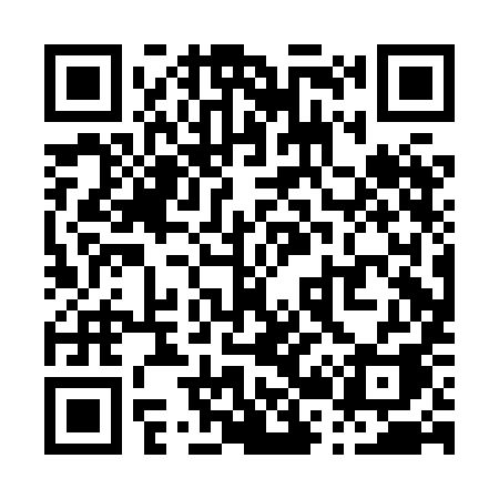 QR code for P20HIA