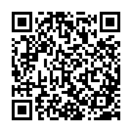 QR code for P20MLO