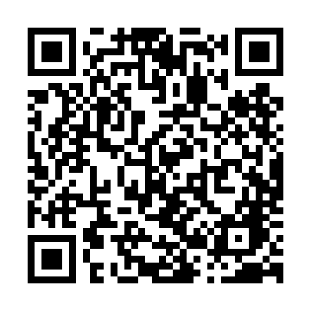 QR code for P20TNG
