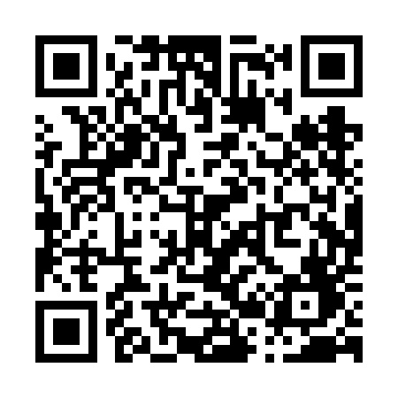 QR code for P20VEF