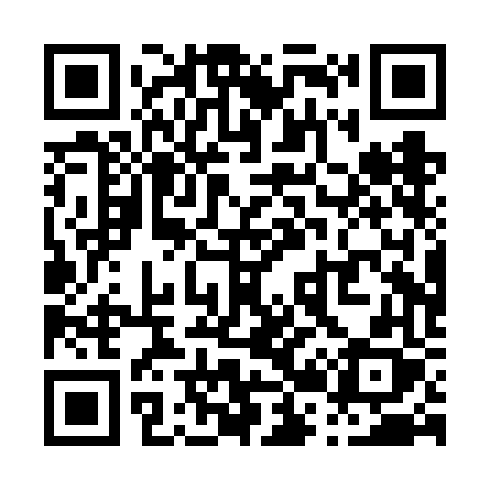 QR code for P20VFX