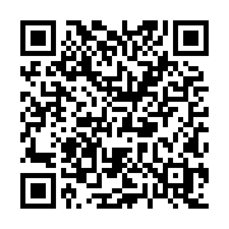 QR code for P20XLH