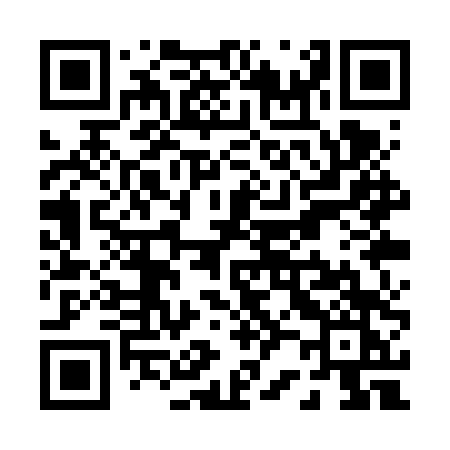 QR code for P21VTK