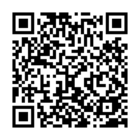 QR code for P22LAE