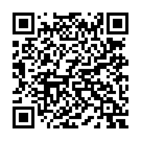QR code for P23LID