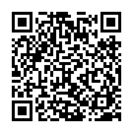 QR code for P25BIC