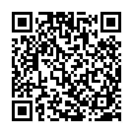 QR code for P28PIC