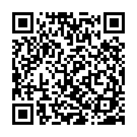 QR code for P29ADI