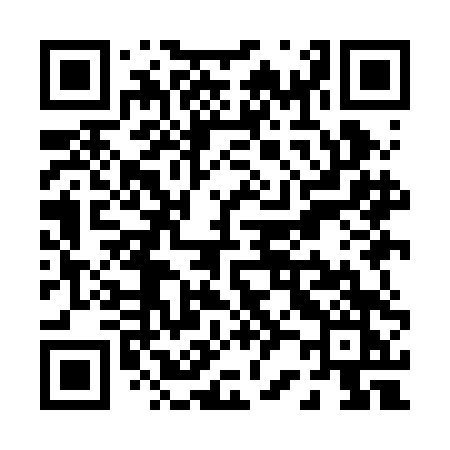 QR code for P29BDK