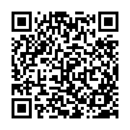 QR code for P29ZMN