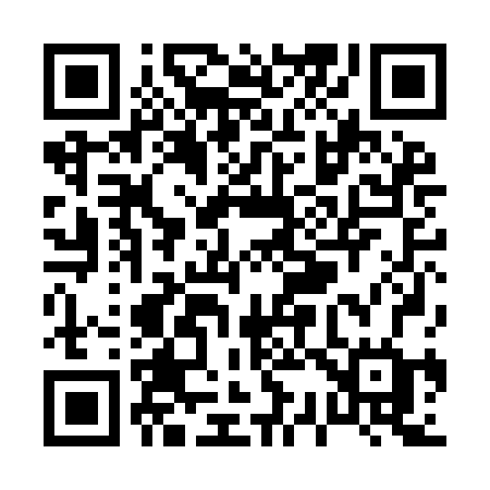 QR code for P30IBG